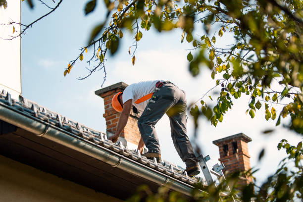 Best Roof Gutter Cleaning  in Thornton, IL
