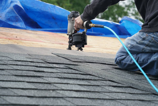 Best Flat Roof Repair Services  in Thornton, IL