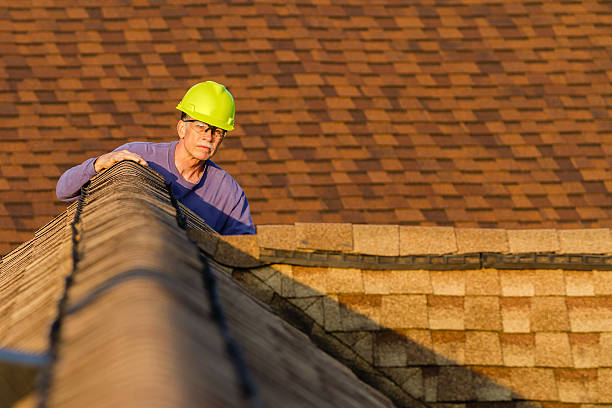 Best Storm Damage Roof Repair  in Thornton, IL